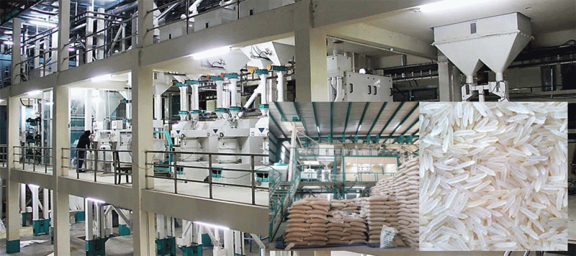 Rice Milling Industry in Bangladesh 2026: Market Size, Opportunities, and Future Outlook